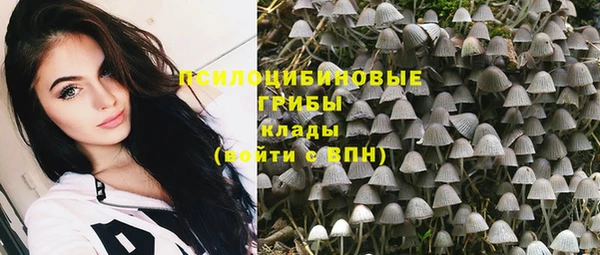 jwh Белокуриха