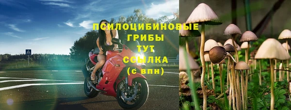 jwh Белокуриха