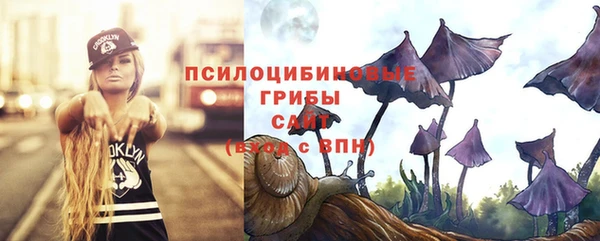ECSTASY Беломорск