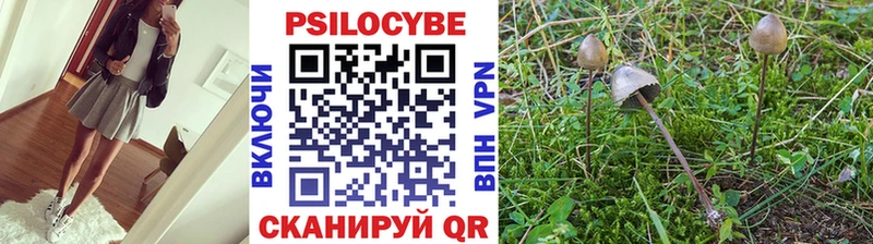 блэк спрут ССЫЛКА Моршанск Галлюциногенные грибы ЛСД закладки